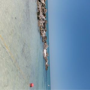 Meet your Posher, Lil